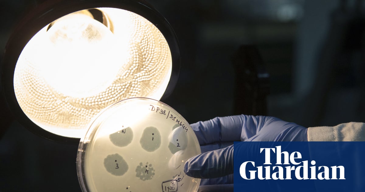 Safety fears as scientists make first viruses designed by AI